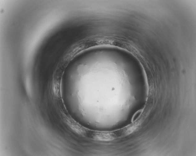 X0000059830671200510241422