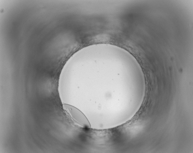 X0000059830672200510241422