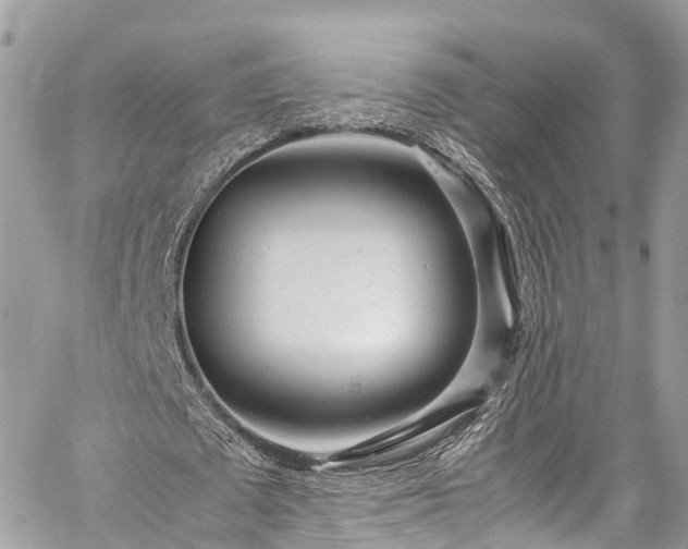 X0000059830673200510241422