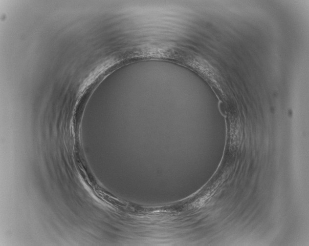 X0000059830674200510241422