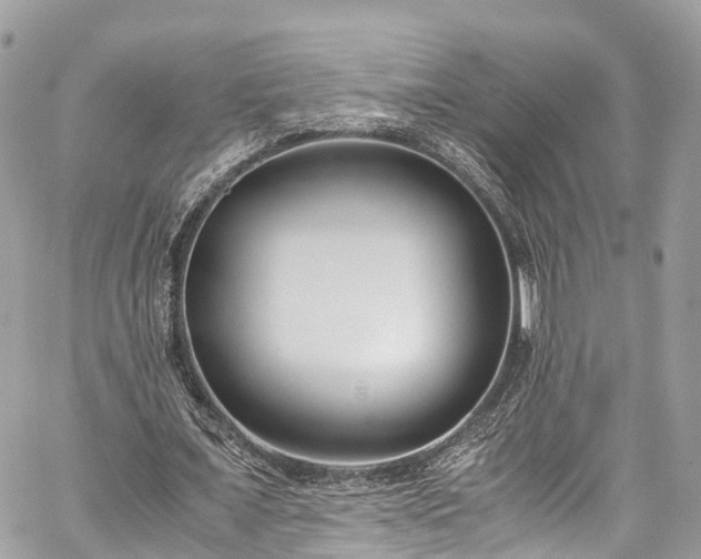 X0000059830675200510241422