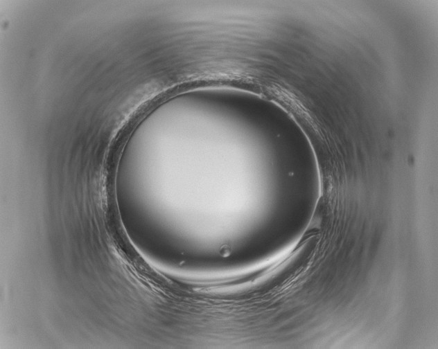 X0000059830676200510241422