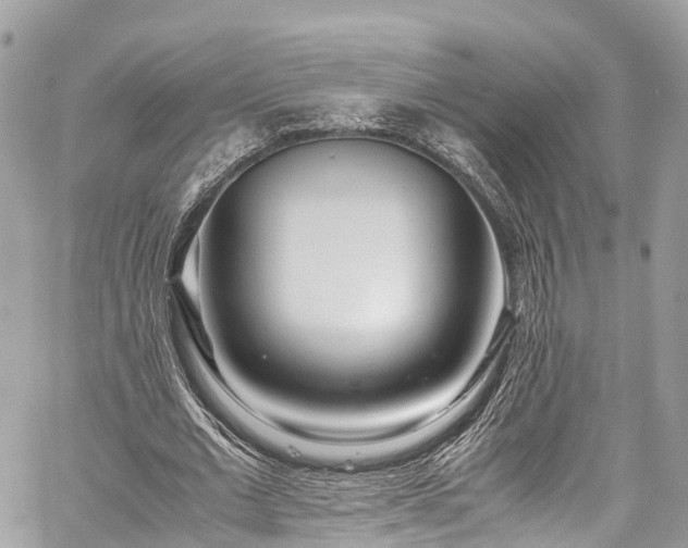 X0000059830677200510241422