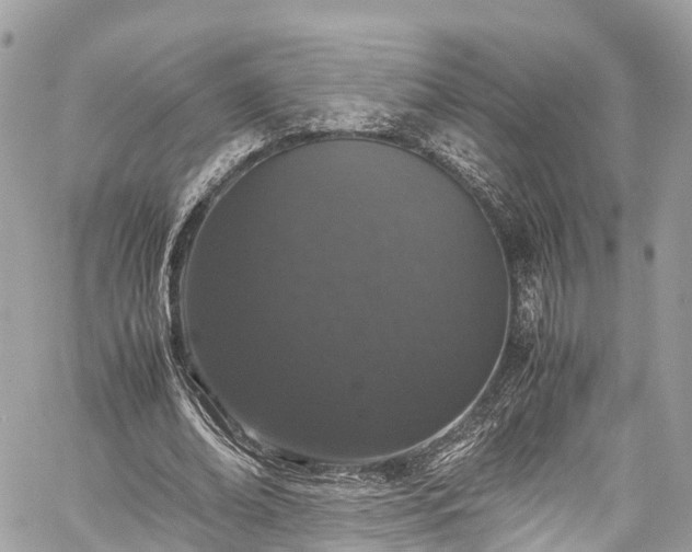 X0000059830678200510241422