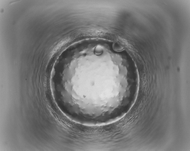 X0000059830679200510241422