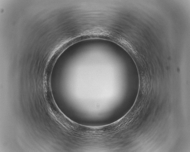 X0000059830680200510241421