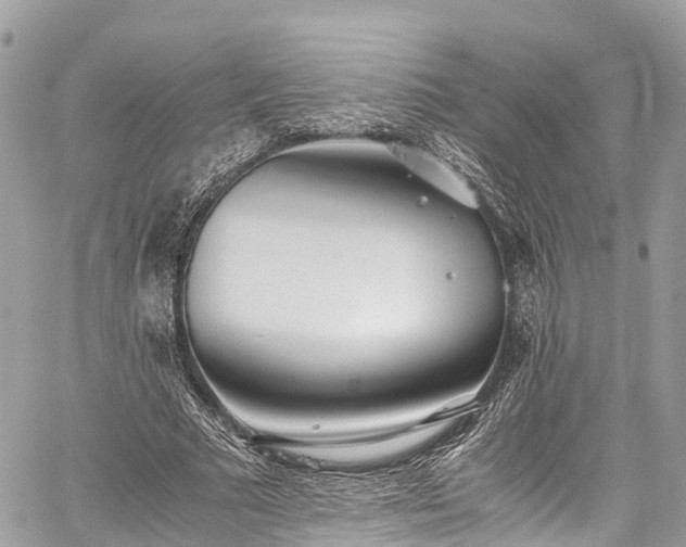 X0000059830681200510241421