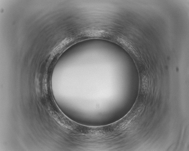 X0000059830682200510241421