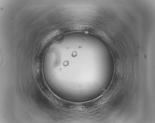 X0000059830683200510241421