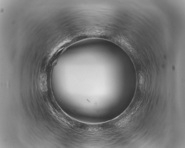 X0000059830684200510241421