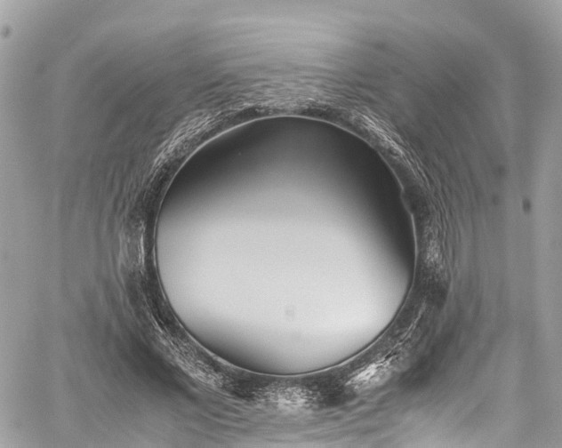 X0000059830685200510241421