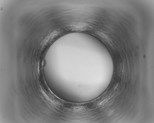 X0000059830686200510241421