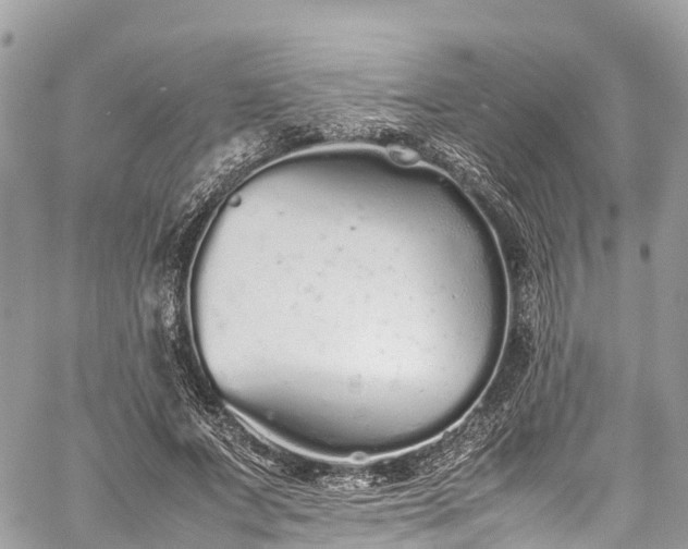 X0000059830687200510241421