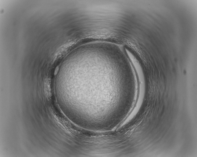 X0000059830688200510241421