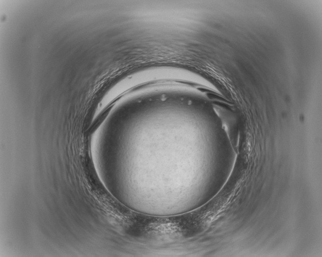 X0000059830689200510241421