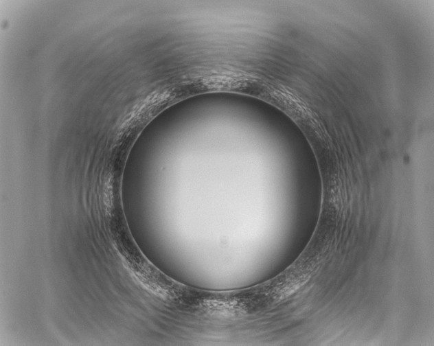 X0000059830690200510241421