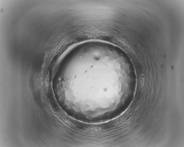 X0000059830691200510241421