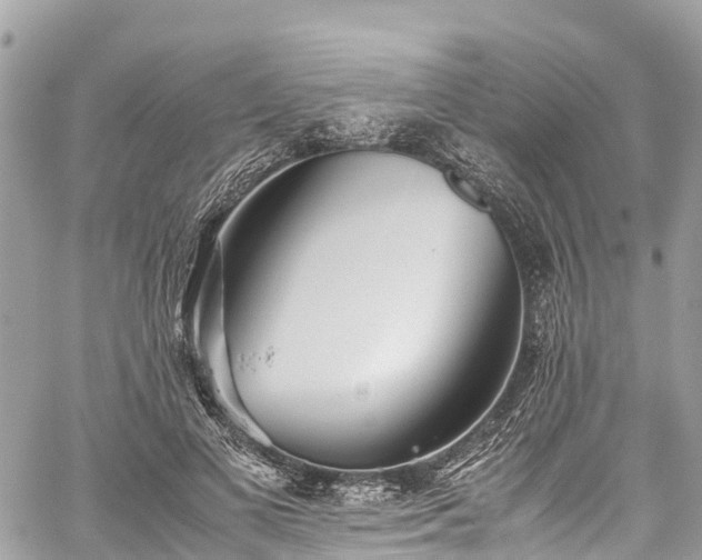 X0000059830693200510241421