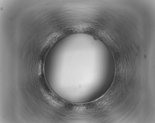 X0000059830694200510241421