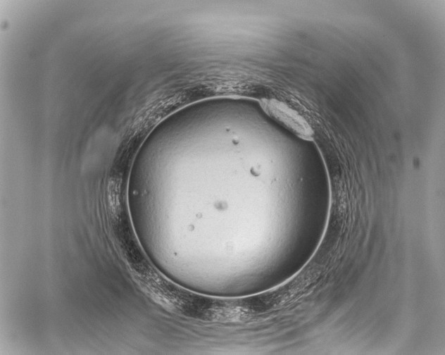 X0000059830695200510241421