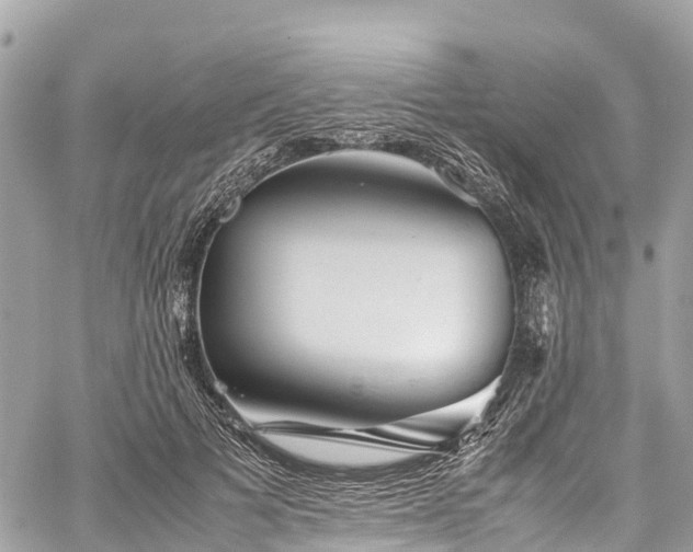 X0000059830697200510241421