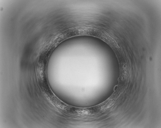 X0000059830698200510241421