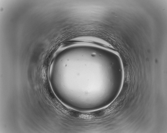 X0000059830699200510241421