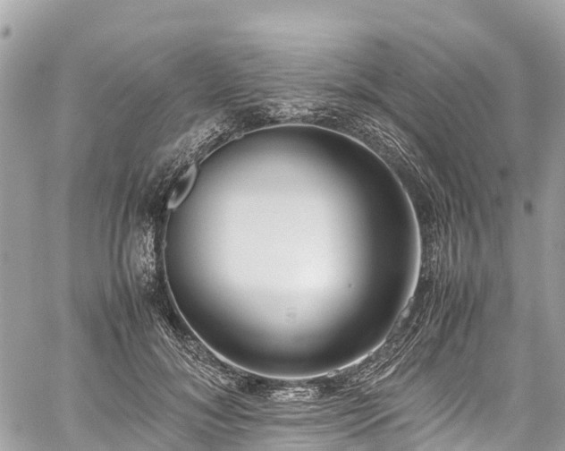 X0000059830700200510241421