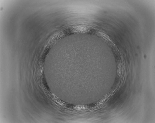 X0000059830701200510241421