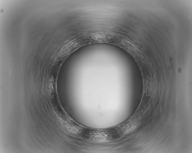 X0000059830702200510241421