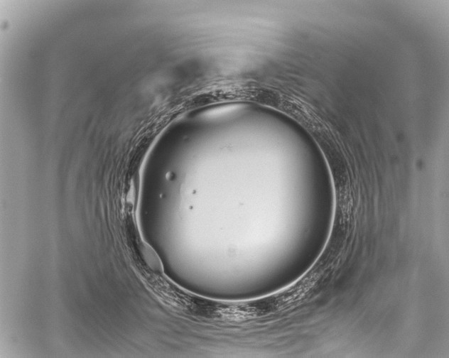 X0000059830703200510241421