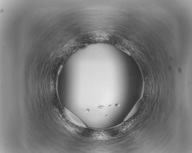 X0000059830704200510241421