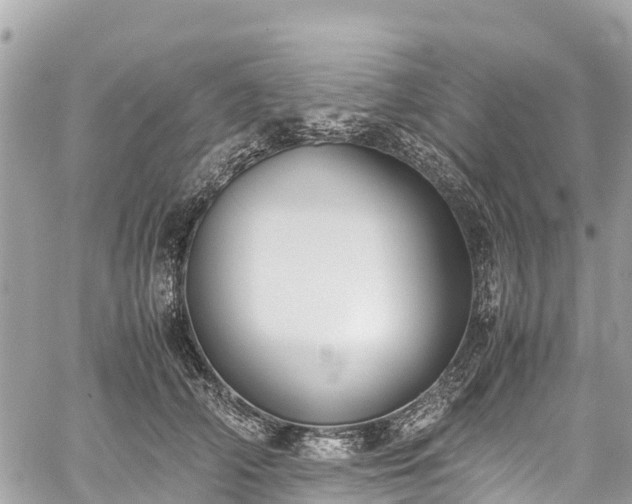 X0000059830706200510241421