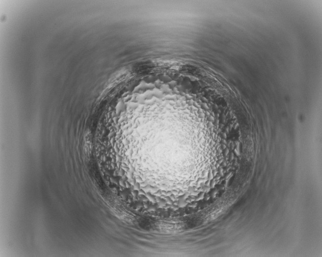 X0000059830707200510241421