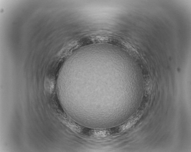 X0000059830709200510241421