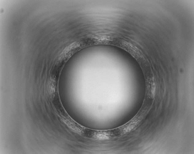 X0000059830710200510241421