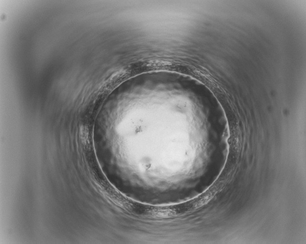 X0000059830711200510241421