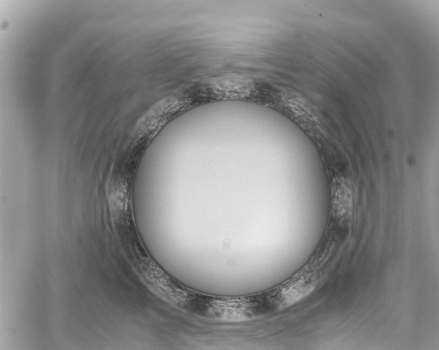 X0000059830713200510241421