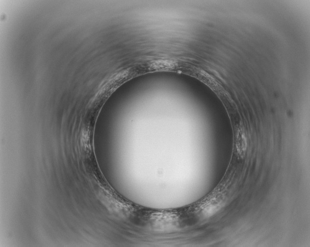 X0000059830714200510241421