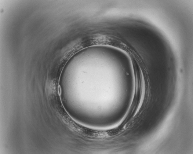 X0000059830715200510241421