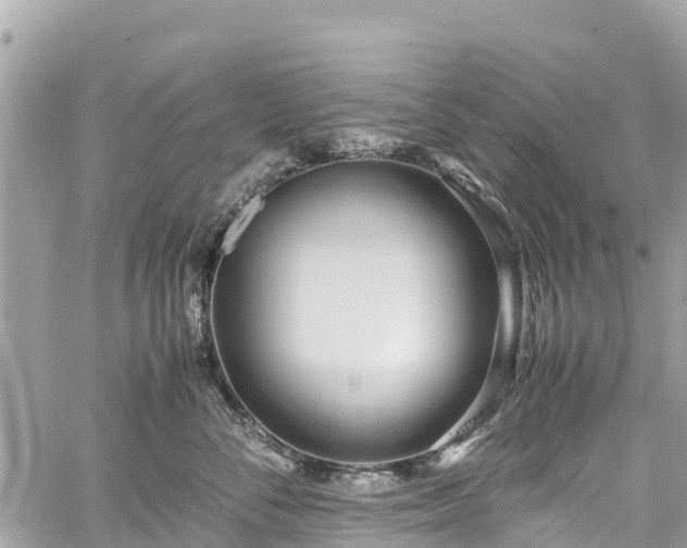 X0000059830716200510241421