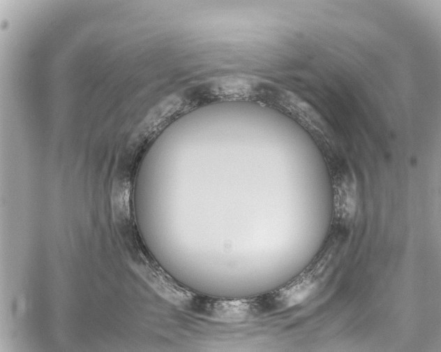 X0000059830717200510241421