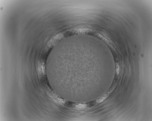 X0000059830718200510241421