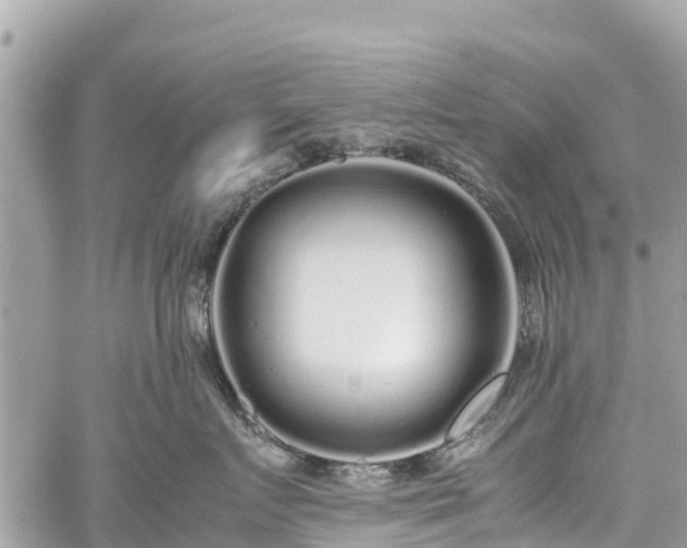 X0000059830719200510241421