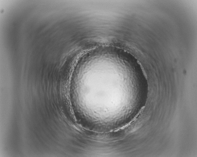 X0000059830720200510241421