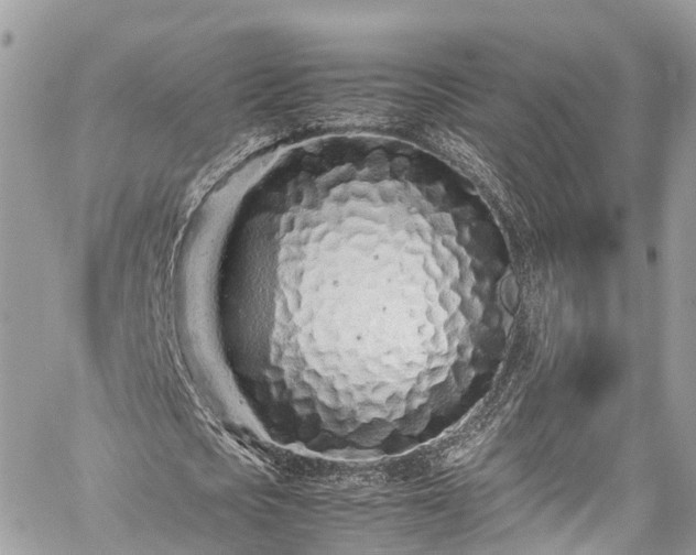 X0000059830721200510241420