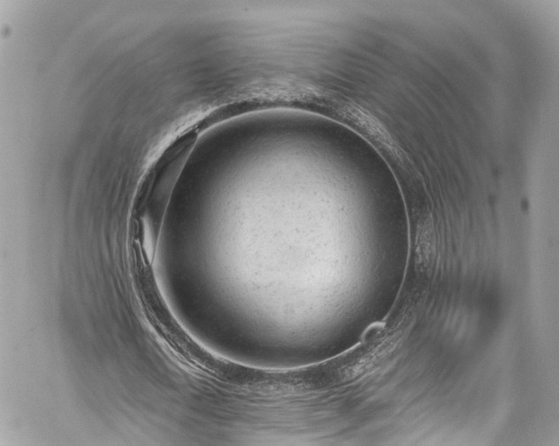 X0000059830722200510241420