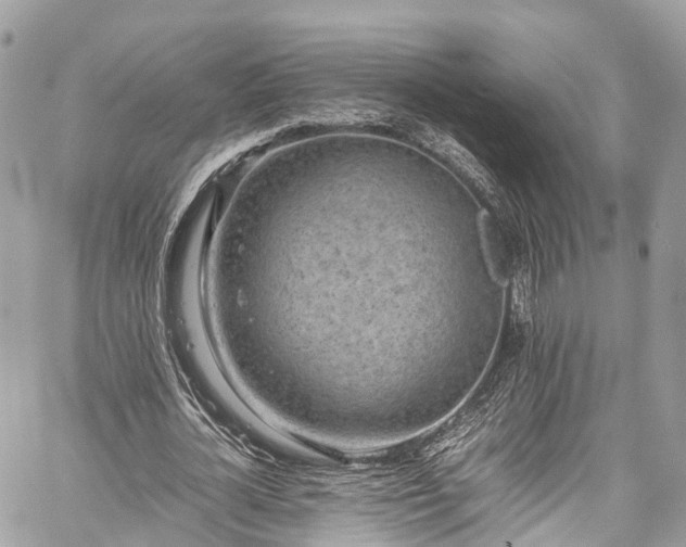 X0000059830724200510241420