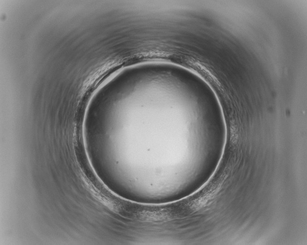 X0000059830725200510241420