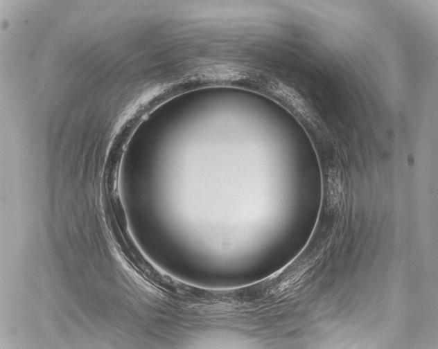 X0000059830726200510241420